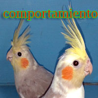 comportamiento